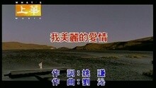 许慧欣 - 我美丽的爱情