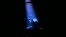 Chris De Burgh - Blonde Hair, Blue Jeans