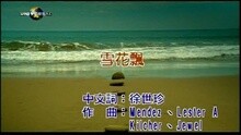 张玉华 - 雪花飘