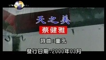 蔡健雅 - 天之美