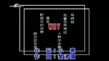蔡健雅 - WHY