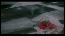 黄伊汶 - 香薰浴