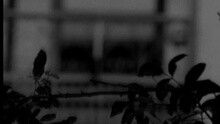 Tift Merritt - Broken