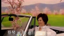 蔡琴 - 乡间小路