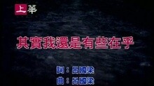 孟庭苇 - 其实我还是有些在乎