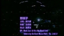 杨千嬅 - 野孩子
