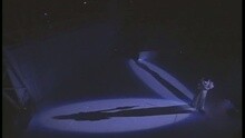关淑怡 - 缱绻星光下