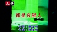 许美静 - 都是夜归人