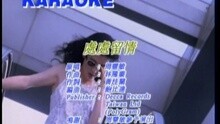 周慧敏 - 处处留情