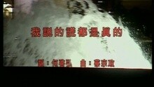 孟庭苇 - 我说的谎都是真的