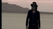 Zucchero - E' Delicato