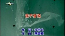 张玉华 - 我不会飞