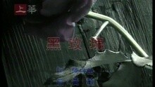 李翊君 - 黑玫瑰 (闽)