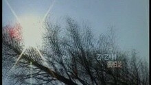 张柏芝 - ??转