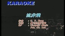 王蓉 - 流非飞