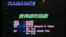 王蓉 - 爱与痛的边缘