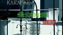 何润东 - 想你的爱