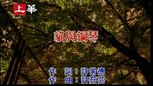许茹芸 - 猫与钢琴