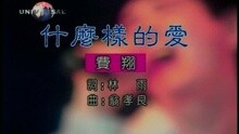 费翔 - 什么样的爱