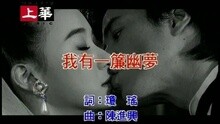 许茹芸 - 我有一帘幽梦
