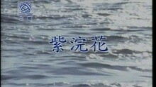 孟庭苇 - 紫浣花