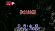 许美静 - 你抽的烟