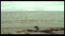 Sail Away