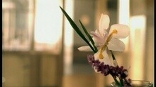雪儿·克罗 - Always On Your Side