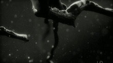 Neige
