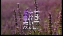 陈慧琳 - 薰衣草