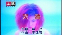 许茹芸 - 哭墙[粤]