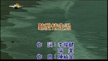 张玉华 - 听爱情走过