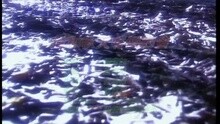 汤宝如 - 我和秋天有个约会
