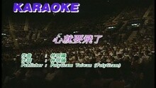 陈慧娴 - 心就要飞了