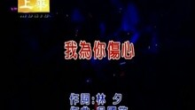 李翊君 - 我为你伤心