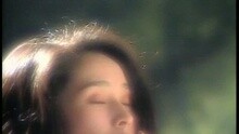 今生不了情不了
