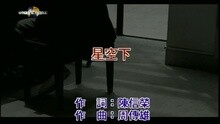 周传雄 - 星空下