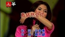 许茹芸 - 我依然爱你