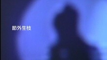 谢安琪 - 后窗知己