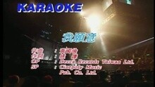 王蓉 - 我愿意