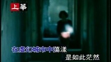 许美静 - 如此