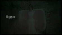 王苑之 - 我想不起(国)