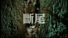断尾