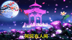 邓丽君 - 但愿人长久