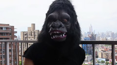 音乐短片 - The Guerrilla Girls, After 3 Decades,Still Rattling Art World Cages