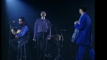张学友 - 情网