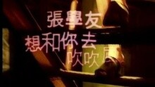 张学友 - 想和你去吹吹风