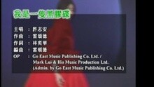 许志安 - 我是一只黑胶碟