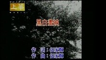张学友 - 黑白画映