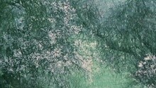 萨顶顶 - Something Like A Shadow Is Following You
